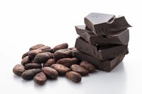 3かけらのチョコレートが心臓病・脳卒中を救う、知られざる健康効果