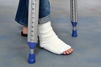 《骨折・寝たきり予防》閉経後の骨密度を上げる注目食材“プルーン”の効果とは、今すぐできる“骨貯金”を…