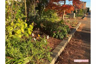 何者かに花が引き抜かれた容疑者宅近所の公園の花壇