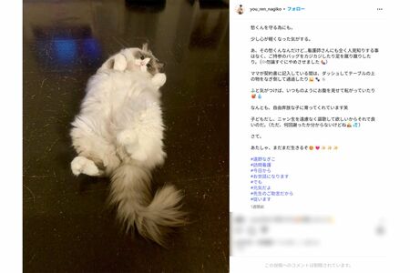 「あたしゃ、まだまだ生きるぞ」と投稿していた遠野なぎこさん（本人インスタグラムより）