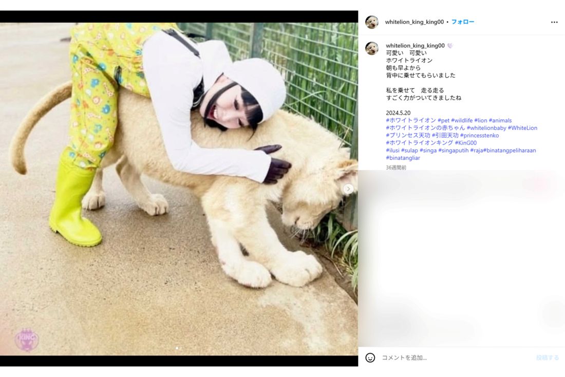 現在、1歳半のKING君と遊ぶプリンセス天功（インスタグラムより）