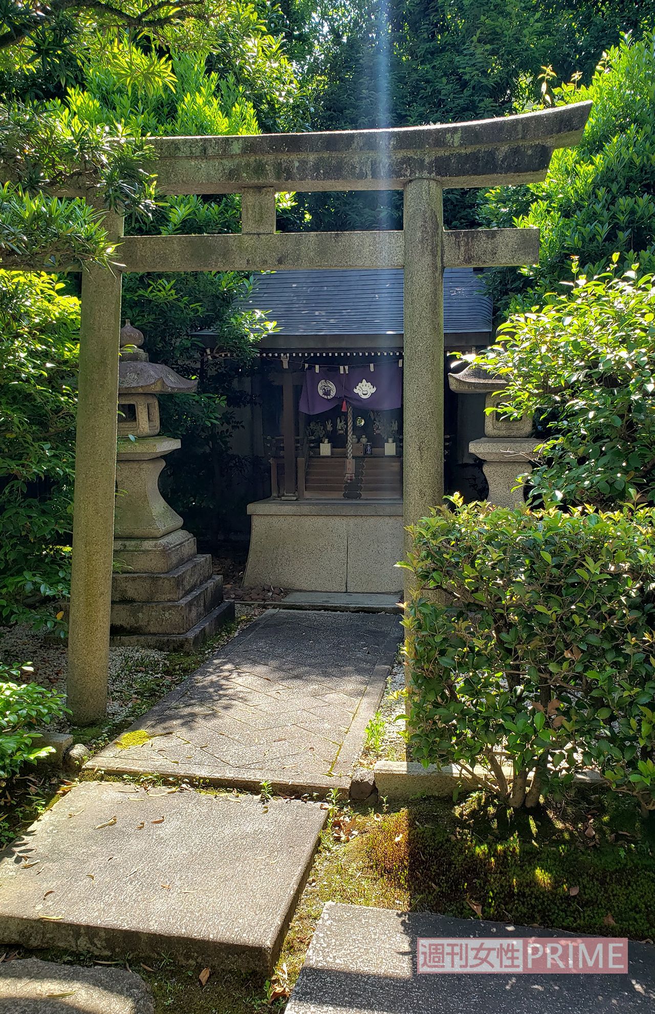 映画『国宝』ロケ地にも使用された旧「御所西 京都平安ホテル」の庭園（2021年）　撮影／編集部