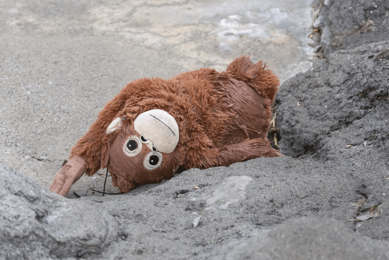 パンチの母代わりとして行動を共にしているオランウータンのぬいぐるみ、通称「オランママ」よく引きずられたり踏んづけられたりしている（写真／読者提供）