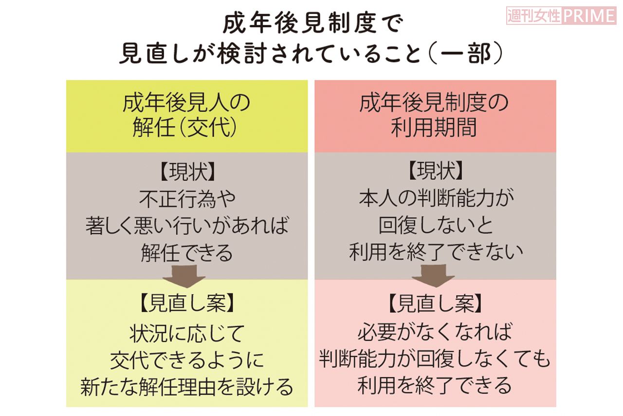 成年後見制度で見直しが検討されていること（一部）