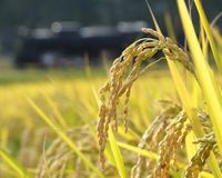 TPPで「農林水産物で1兆円、加工品で1.5兆円の被害」