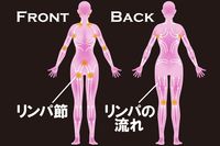 自宅＆職場でできるリンパケア　老廃物をリセットして体調不良、たるみ、薄毛も解消