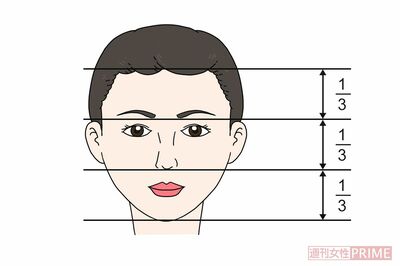 顔面の黄金比