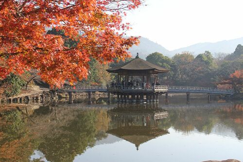 鷺池に浮かぶ檜皮葺き（ひわだぶき）の六角堂。貸しボート（11月下旬まで）で水上から眺めても◎