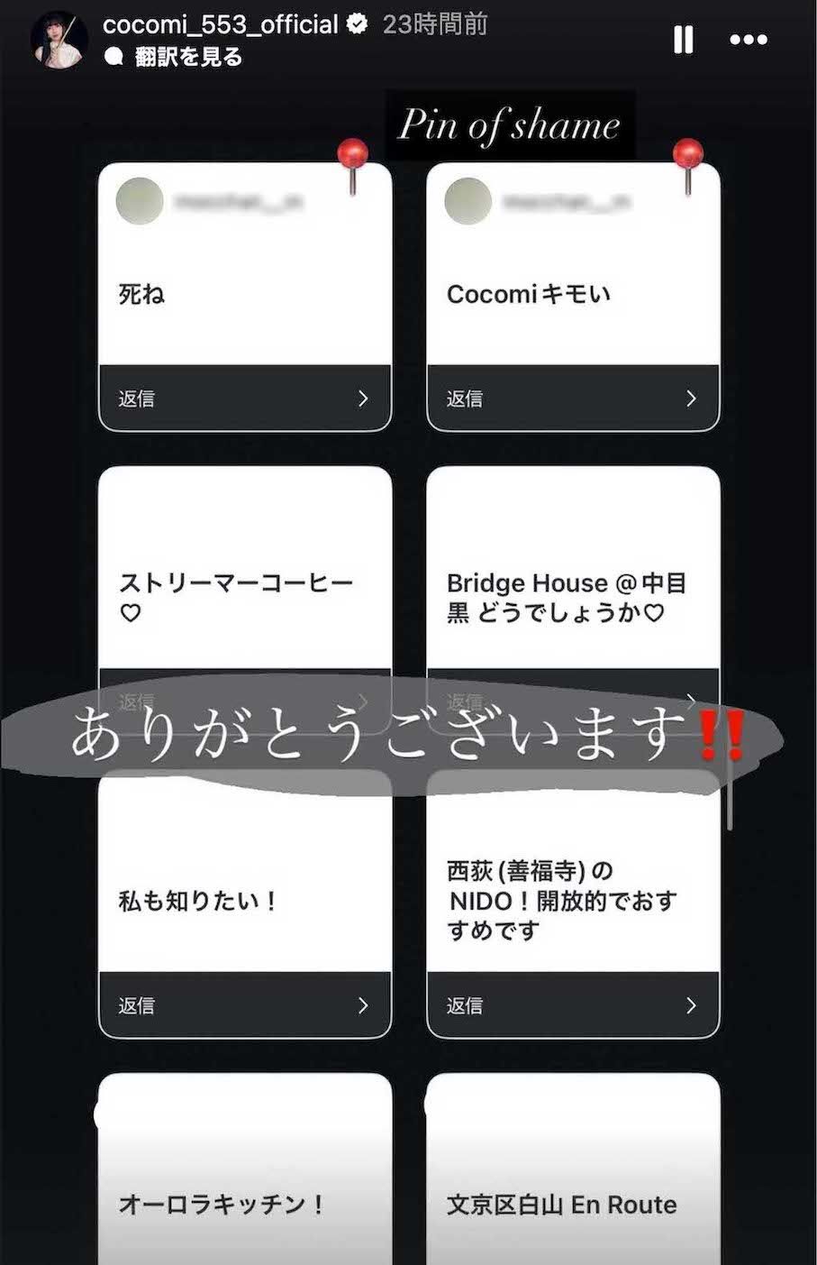 フォロワーに《ペット同伴OKのカフェを教えて》と質問していたCocomi。寄せられた回答をストーリーズで公開した中で「死ね」「Cocomiキモい」というアンチの声を目立ちやすいようにピン留め（Cocomiのインスタグラムより、画像は一部編集部で加工）