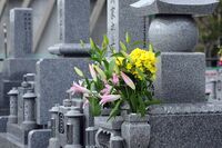 お墓は夫と別で！と考える女性が増えている。老いて悩ましい「自分のお墓」問題