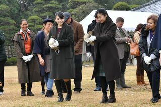 鴨場接待は小室眞子さん佳子さま、愛子さま佳子さまペアで臨まれた前例が