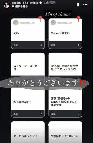 フォロワーに《ペット同伴OKのカフェを教えて》と質問していたCocomi。寄せられた回答をストーリーズで公開した中で「死ね」「Cocomiキモい」というアンチの声を目立ちやすいようにピン留め（Cocomiのインスタグラムより、画像は一部編集部で加工）
