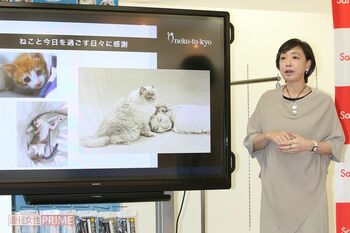 川上さんが代表理事を務める「ねこと今日」が、ペット用品「SankoPet」を提供する株式会社サンコーとアンバサダー契約を締結。「ペットのことも考えた災害対策の商品も考えていきたいですね」（川上さん）