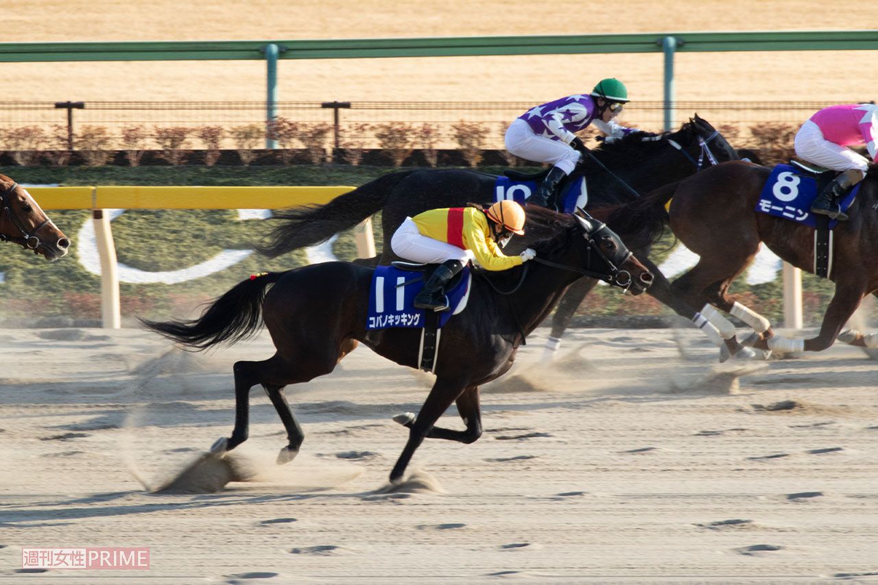 2019年、第36回G1フェブラリーステークスに出場した藤田菜七子騎手