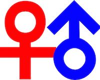 女性器3DデータNG。神社の男根OK。“わいせつ”の境界線は?