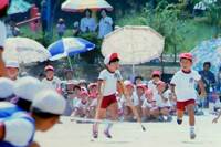 2万人に1人の難病を克服し、3階級制覇！“中京の怪物”田中恒成の原動力に迫る