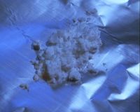 薬物事件で1万人以上が逮捕「今はネットで誰でも買える」