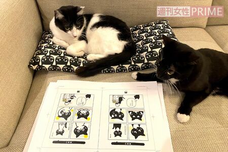 自分たちにそっくりな漫画に夢中!　作画のホンマジュンコ氏はふたりの絵が上手で「本当にそのもの!」（藤）