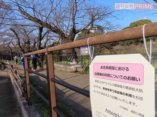 千鳥ヶ淵緑道には飲食を伴う花見を控えるよう求める看板が