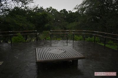 『箱根山』の山頂。数々の心霊目撃談がある場所だが……