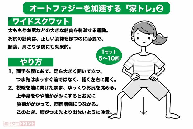 オートファジー活性化の家トレ〈2〉【ワイドスクワット】（イラスト／ますみかん）