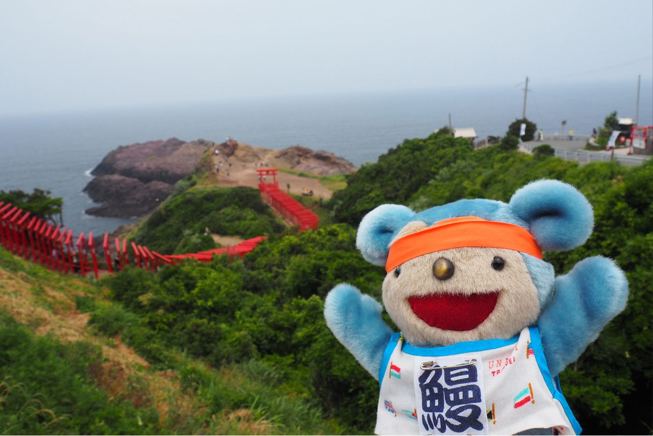 国内では東西を問わず、ハワイや韓国など海外ツアーも