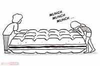 #007　ジャンボモナカを食べながら、いい加減な話をしよう