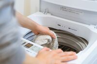 洗ったばかりなのにクサッ！生乾きの洗濯物から漂う「ゾンビ臭」を撃退、プロが教える“梅雨どき洗濯の裏ワ…