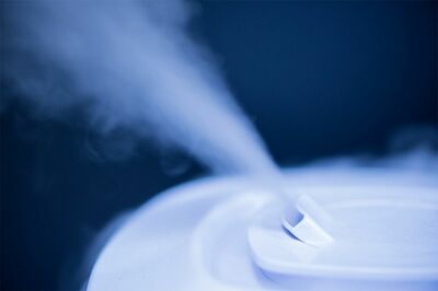超音波式加湿器はミスト中にカビや細菌が含まれている可能性がある