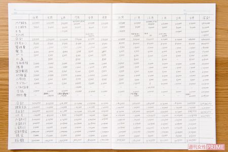 年間の家計簿記入例