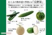  薬膳のプロが教えるスーパーで買える「夏バテ予防食材」…なぜ夏にゴーヤやスパイスカレーなのか？