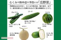 薬膳のプロが教えるスーパーで買える「夏バテ予防食材」…なぜ夏にゴーヤやスパイスカレーなのか?