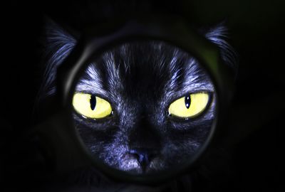 TOKIO山口達也さん契約解除の背景にあったヤマト運輸への顔向け