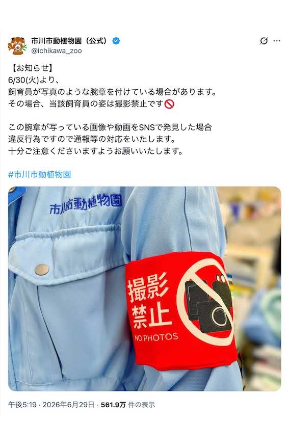 《飼育員が写真のような腕章をつけている場合があります。その場合、当該飼育員の姿は撮影禁止です》と、実際に着用する腕章の写真を投稿した市川市動植物園（公式Xより）