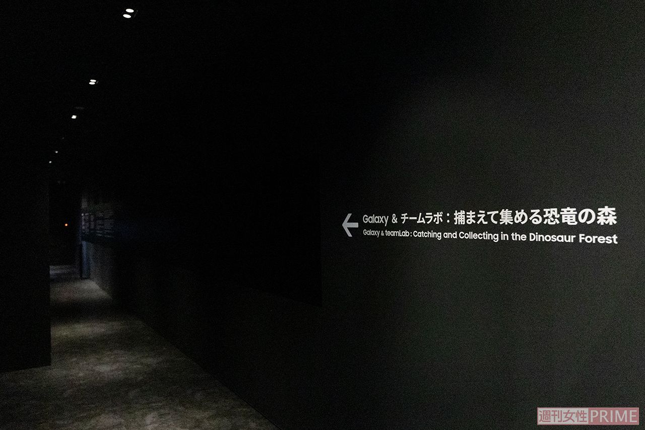 『Galaxy & チームラボ：捕まえて集める恐竜の森』入口（撮影／矢島泰輔）