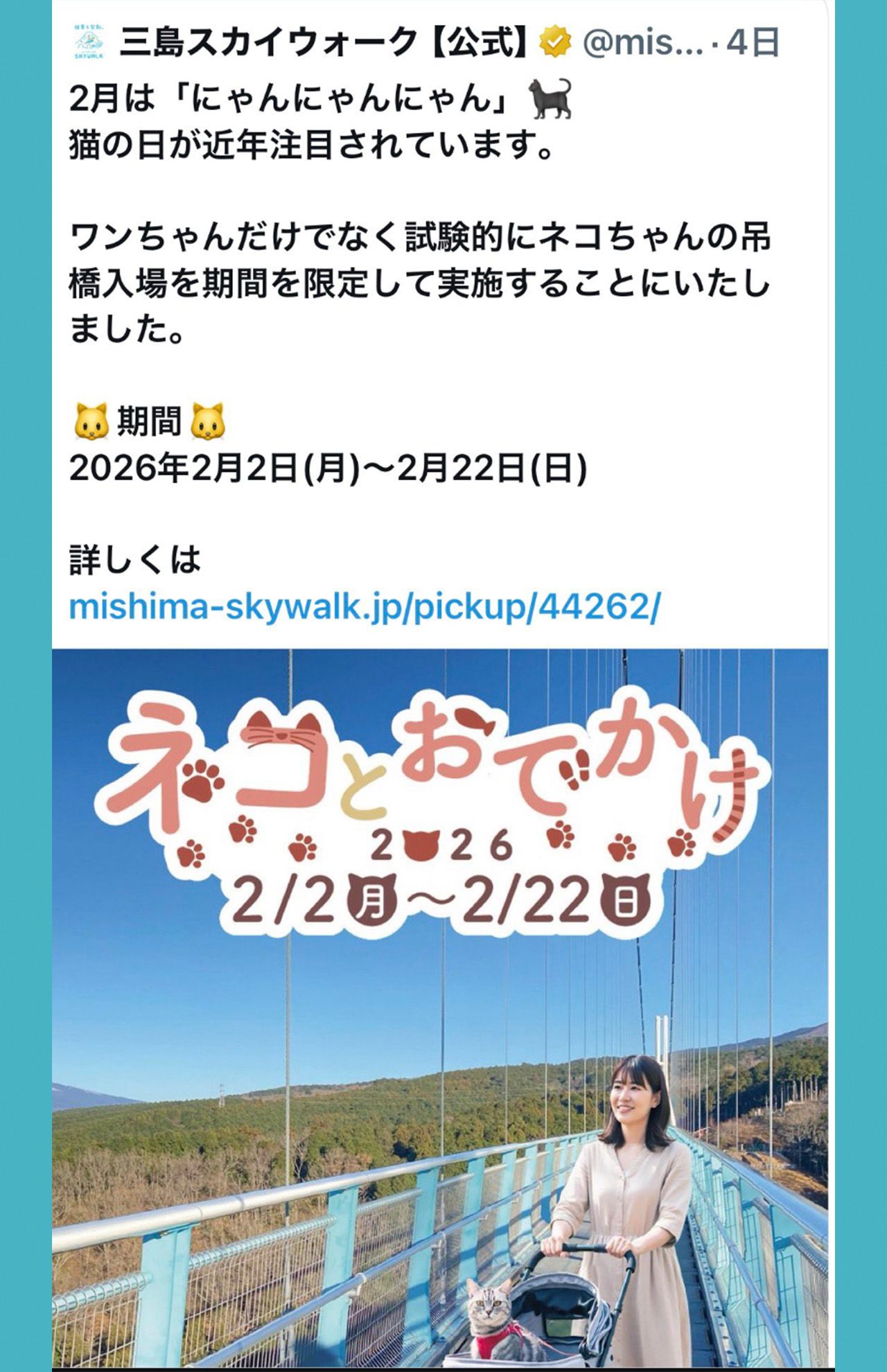 Xで告知されていた三島スカイウォークの「ネコとおでかけ」イベント（公式Xより）