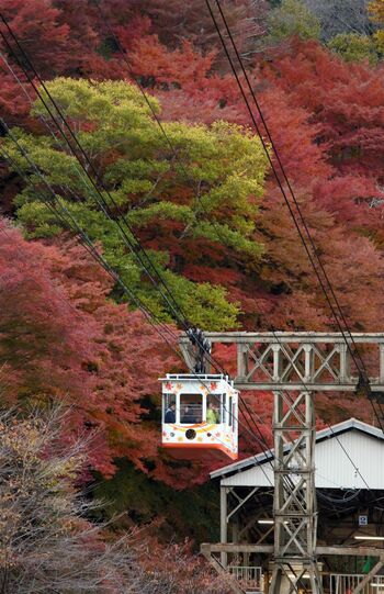 【奈良】吉野山ロープウェイ