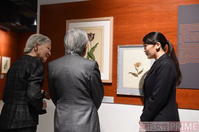 上皇ご夫妻を自身が勤務する博物館で案内される眞子さま（'17年12月）