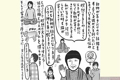 「彼が将来飼いたいと言っていて不安」動物が苦手な女性に自然な心と愛を湧き出させる瞑想