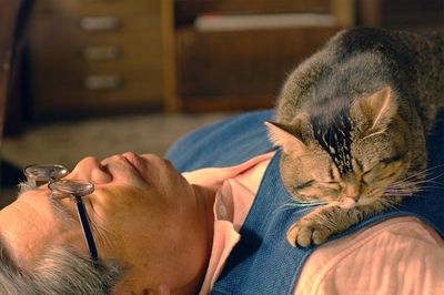 【にゃんにゃんにゃんは猫の日】猫まみれな映画やドラマを5つご紹介だにゃん♪