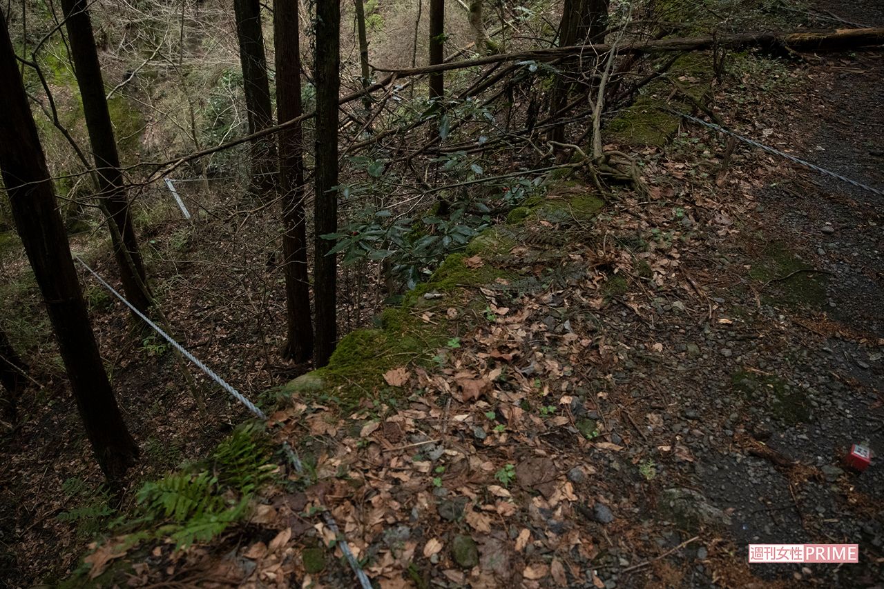 旧旧吹上トンネルに向かうけもの道