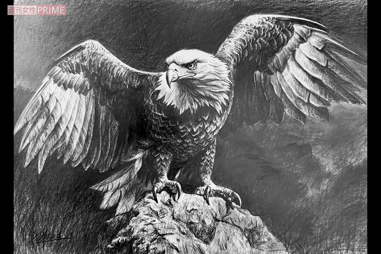 『白頭鷲』柴崎春通作品集（オレンジ）より