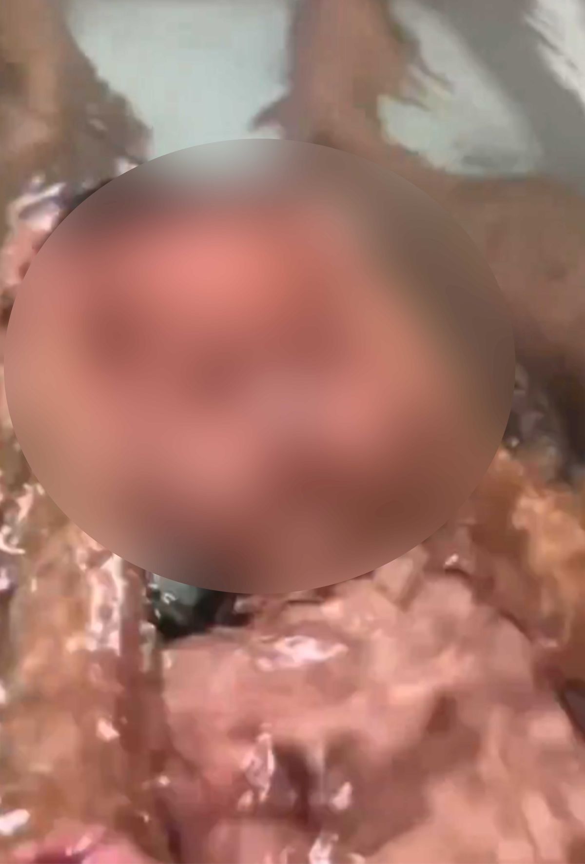 両手で頭を掴み、湯船に顔を沈める様子（拡散された動画より）