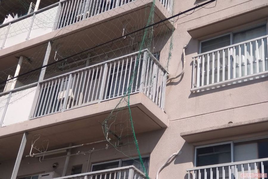 《福岡県大川市事件》容疑者宅（市営北島団地）