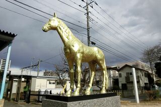 府中競馬場とも呼ばれる中央競馬場。名レースが行われてきた