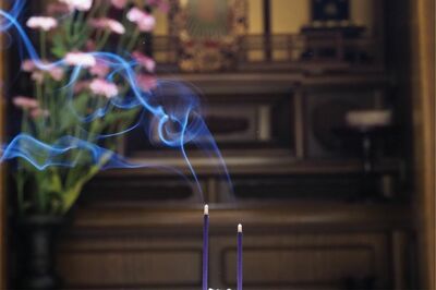 写真はイメージです