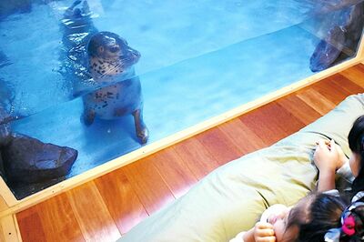 北海道、“動物と宿泊できるグランピング施設”が「虐待疑惑」で炎上！担当者に聞いた管理体制と今後の対応…