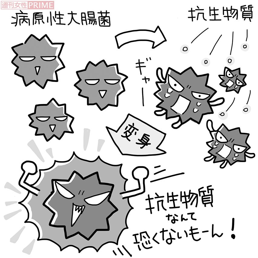 大腸菌の驚異!　膀胱炎の薬が効かない!?