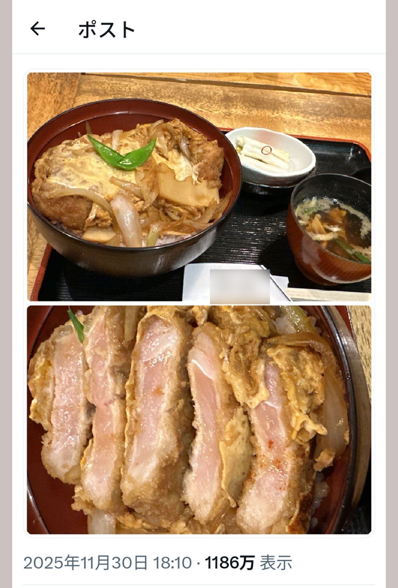 SNSで拡散されている“生焼け”のカツ丼（Xより）※編集部で画像を一部加工しています