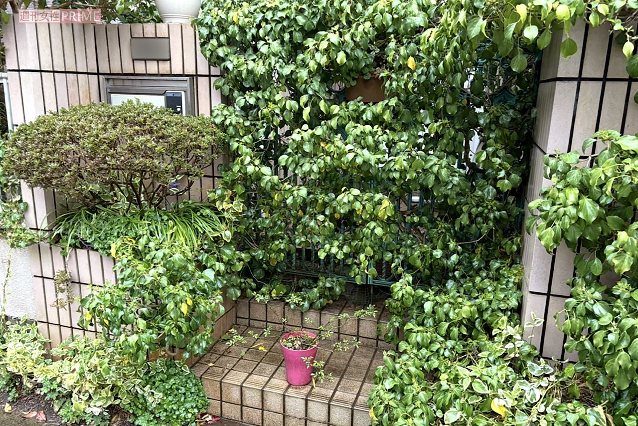 訪問を阻むように草木で覆われた千葉・八街市にある容疑者宅